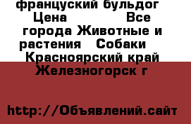 француский бульдог › Цена ­ 40 000 - Все города Животные и растения » Собаки   . Красноярский край,Железногорск г.